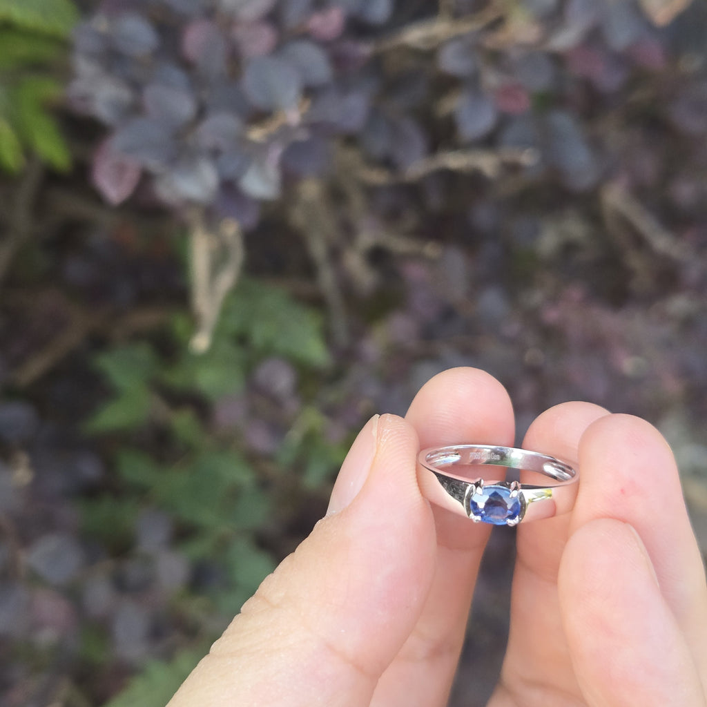 RIP006 0.4ct Natural Sapphire Platinum Band - Minimalist Luxury Size 15