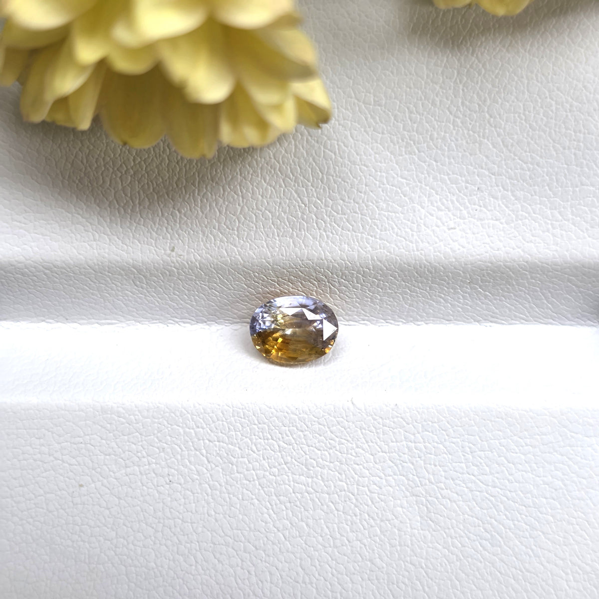 FS2605 1.45 Carat Natural Bi-Color Sapphire from Sri Lanka | White & Yellow Loose Gemstone