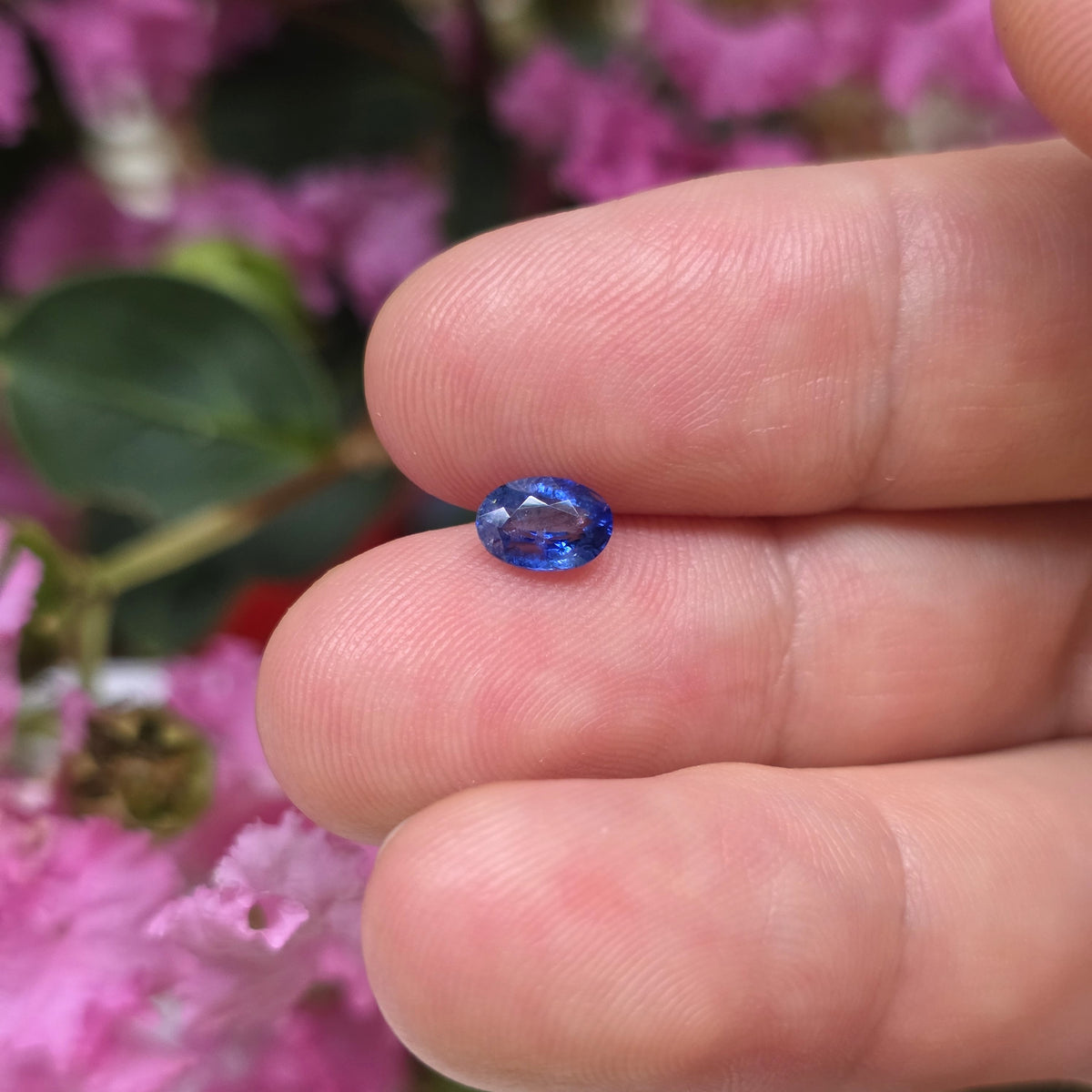 BS2610 0.69 Ct Natural Blue Sapphire, Oval, Sri Lanka