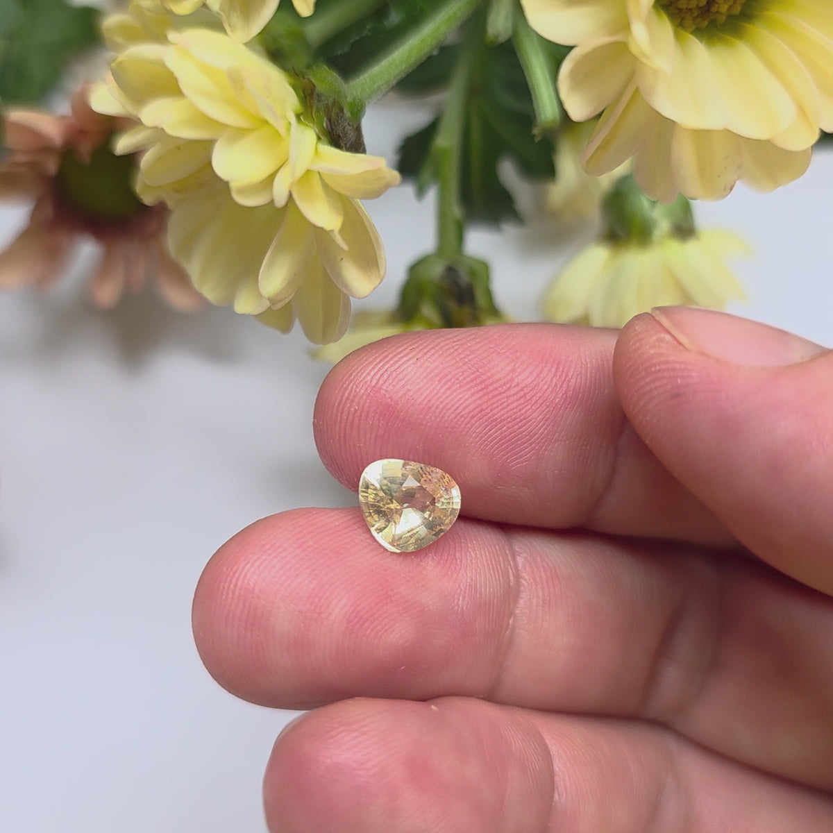 FS2604 1.56 Ct Natural Yellow Sapphire, Fancy Cut, Sri Lanka