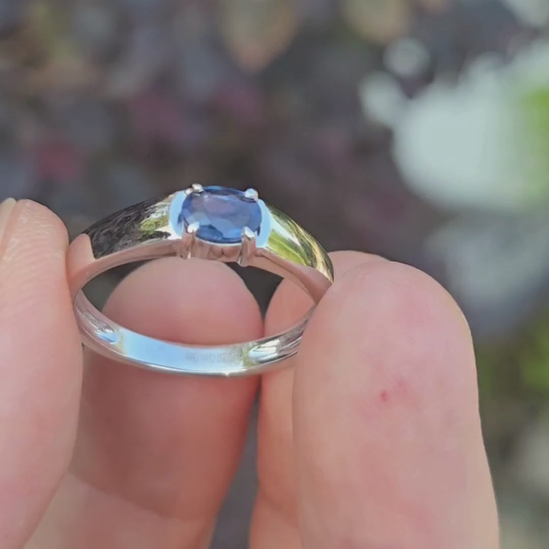 RIP006 0.4ct Natural Sapphire Platinum Band - Minimalist Luxury Size 15