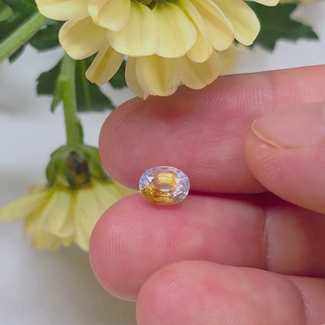 FS2605 1.45 Carat Natural Bi-Color Sapphire from Sri Lanka | White & Yellow Loose Gemstone