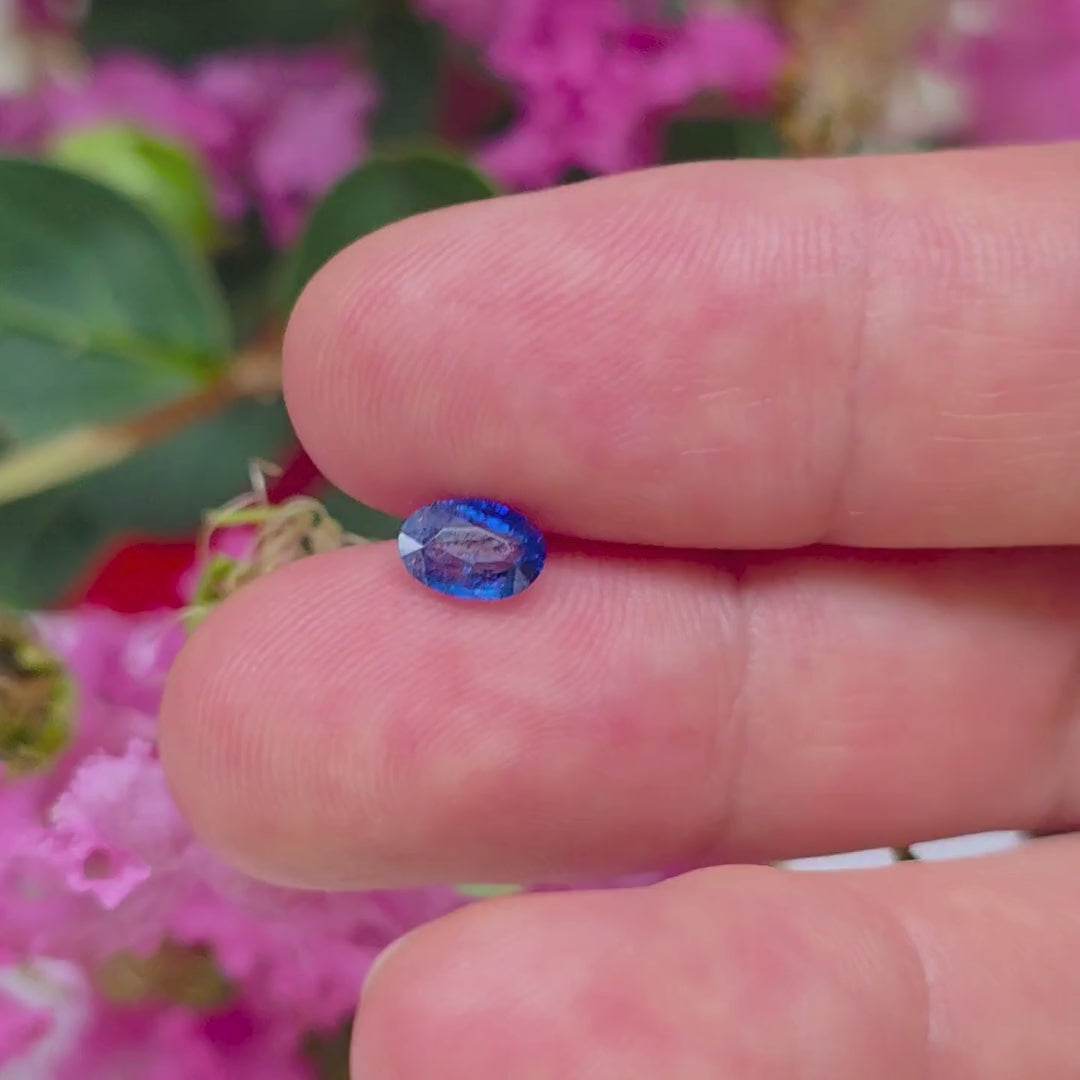 BS2610 0.69 Ct Natural Blue Sapphire, Oval, Sri Lanka